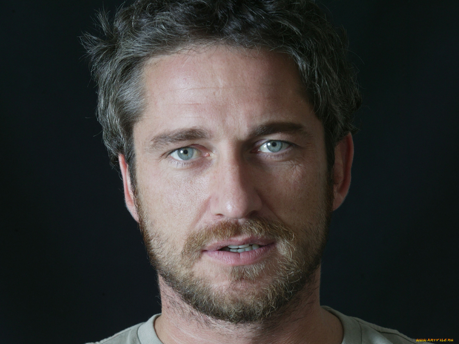 gerard, butler, 